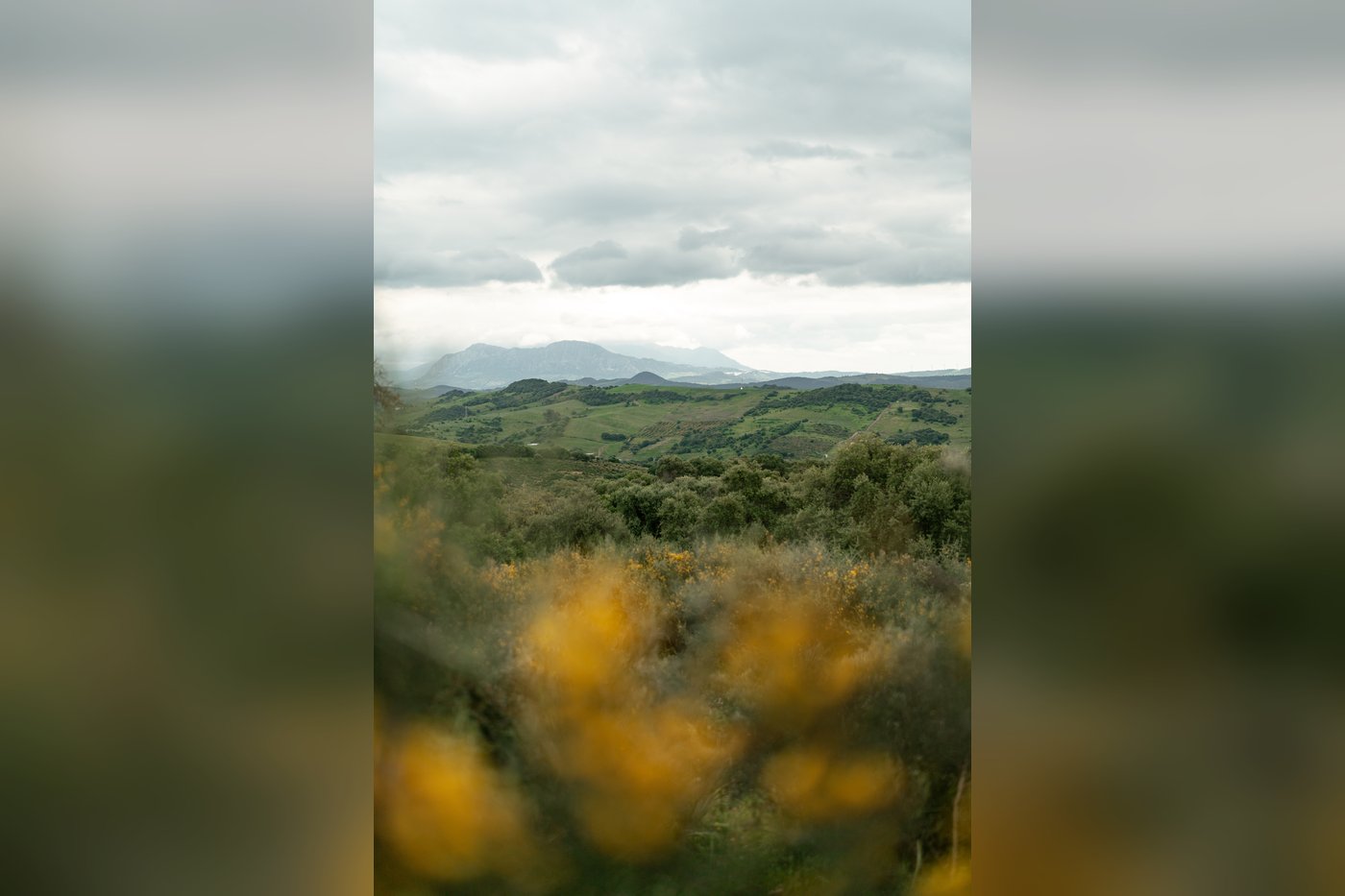 Gelände – Rancho Los Lobos