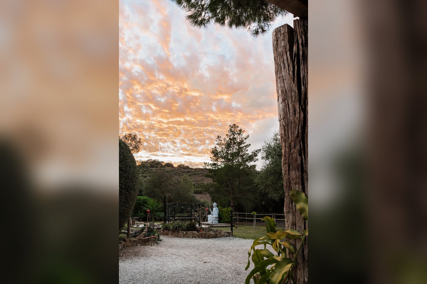 Gelände – Rancho Los Lobos
