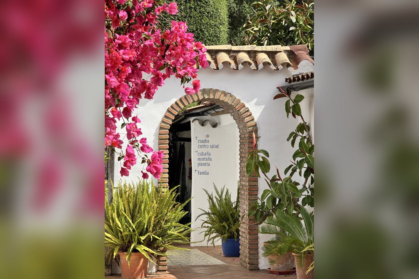 Gelände – Rancho Los Lobos