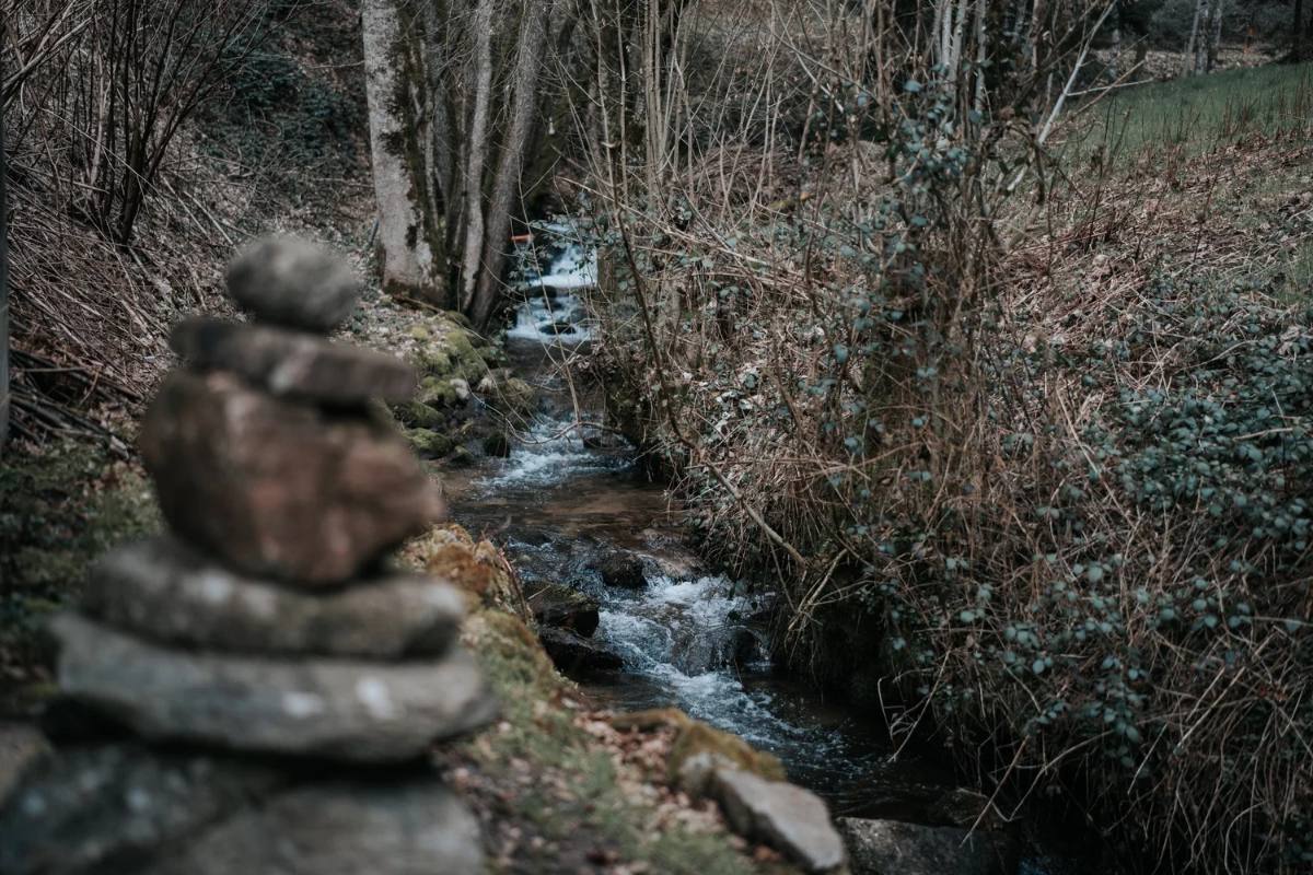 Bach im Schwarzwald