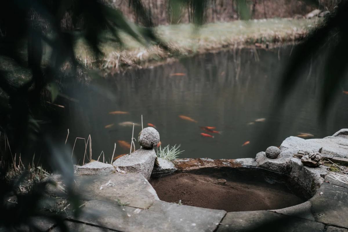 Teich am Seminarhaus