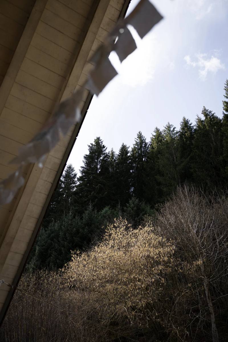 Winterwald rund um das Seminarhaus Karuna