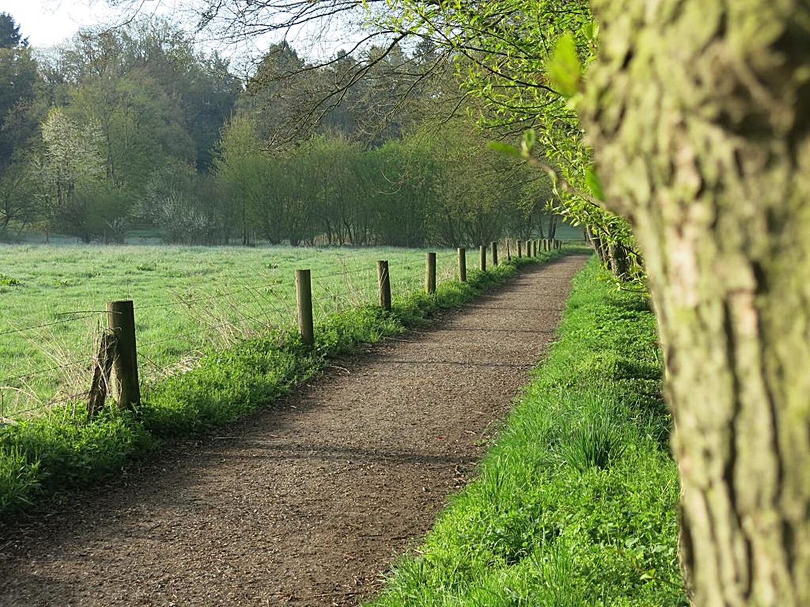 Weg durch die Natur rund um den Ashram