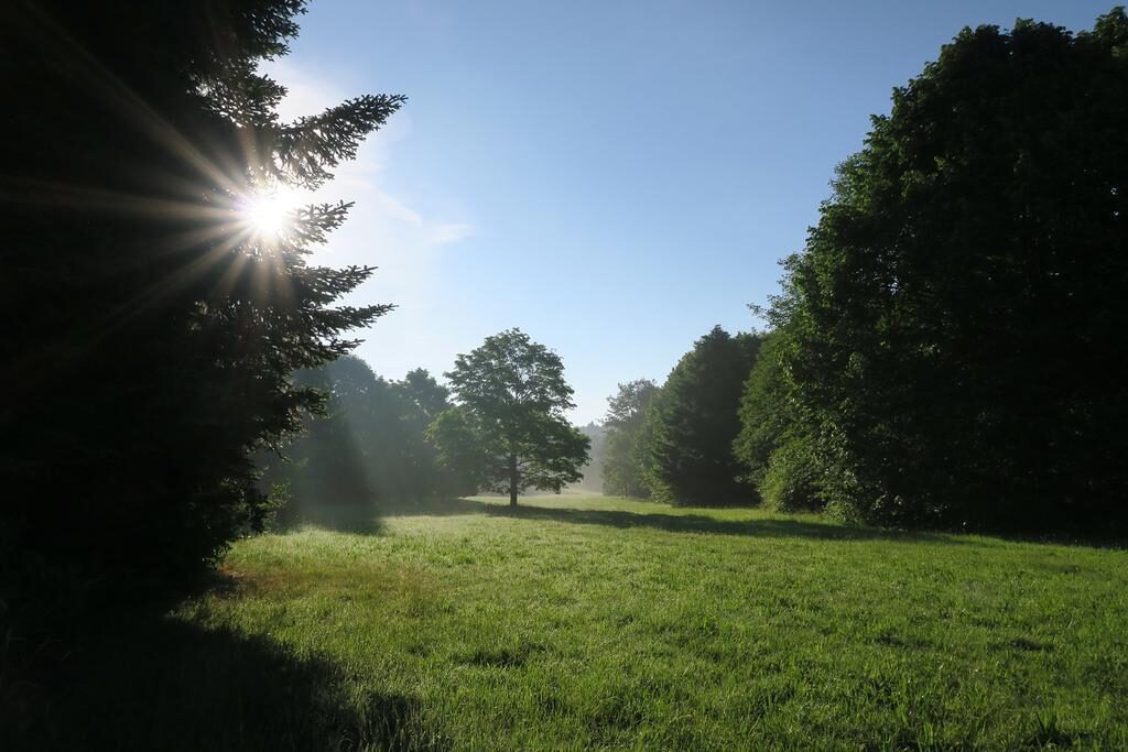 Weite Wiesen im Naturschutzgebiet